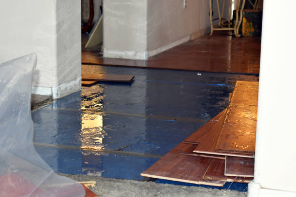 Professional Water Damage Repair technician working in Jamestown, RI
